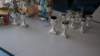 dsc00873_small.jpg