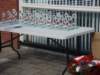 dsc00911_small.jpg