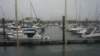 dsc00772_small.jpg