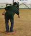 dsc_3654_small.jpg